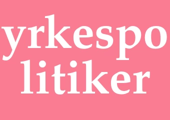 Synonym yrkespolitiker
