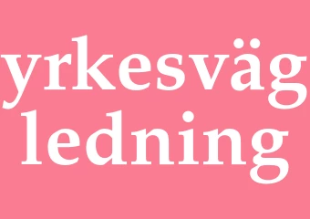 Synonym yrkesvägledning