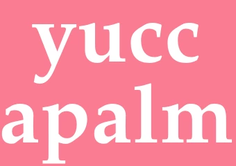 Synonym yuccapalm