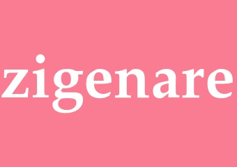Synonym zigenare