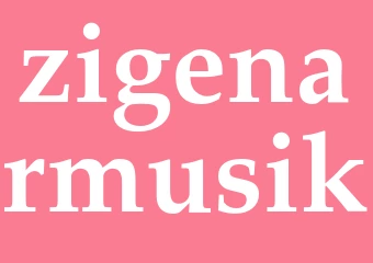 Synonym zigenarmusik
