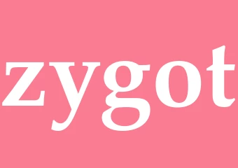 Synonym zygot