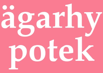 Synonym ägarhypotek