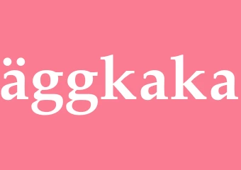 Synonym äggkaka