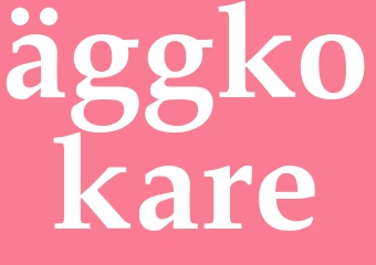 Synonym äggkokare