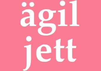 Synonym ägiljett
