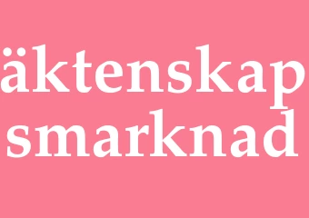 Synonym äktenskapsmarknad