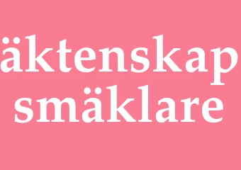 Synonym äktenskapsmäklare