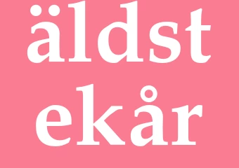 Synonym äldstekår