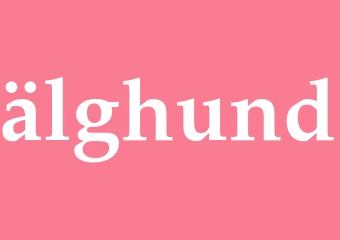 Synonym älghund
