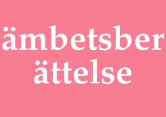 Synonym ämbetsberättelse