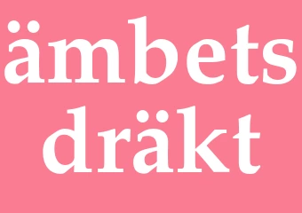 Synonym ämbetsdräkt