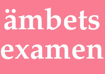 Synonym ämbetsexamen