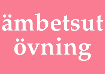 Synonym ämbetsutövning
