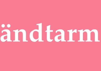 Synonym ändtarm
