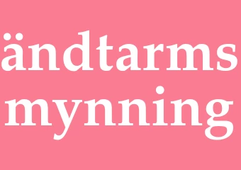 Synonym ändtarmsmynning
