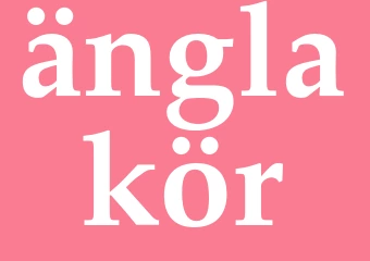 Synonym änglakör