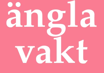 Synonym änglavakt