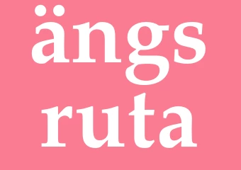 Synonym ängsruta