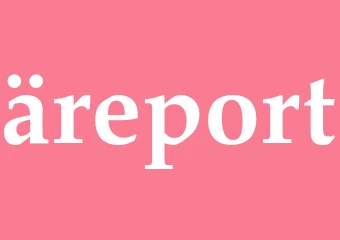 Synonym äreport