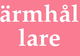 Synonym ärmhållare