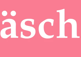 Synonym äsch