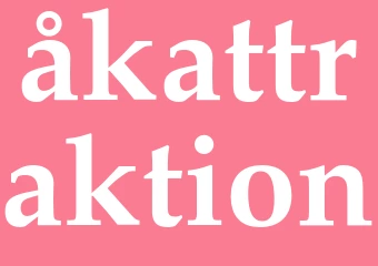 Synonym åkattraktion