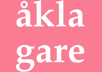 Synonym åklagare