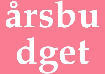 Synonym årsbudget