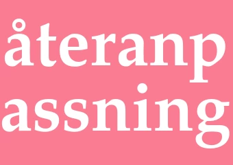 Synonym återanpassning