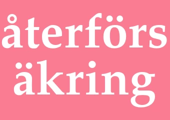 Synonym återförsäkring