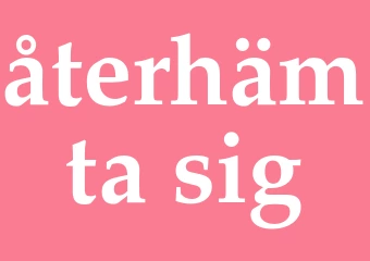 Synonym återhämta sig