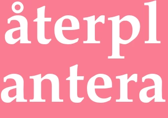 Synonym återplantera