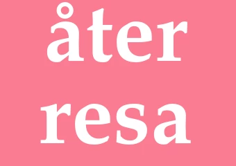 Synonym återresa