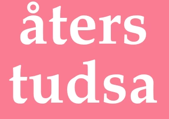 Synonym återstudsa