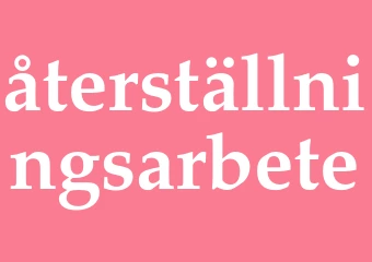 Synonym återställningsarbete