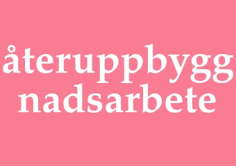 Synonym återuppbyggnadsarbete