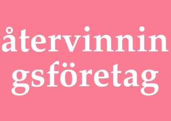 Synonym återvinningsföretag