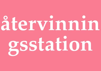 Synonym återvinningsstation