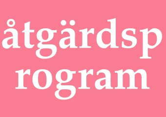 Synonym åtgärdsprogram