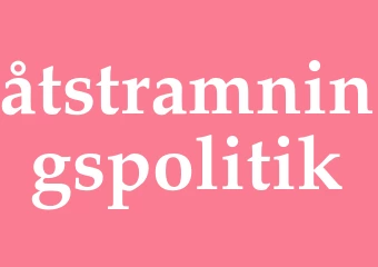 Synonym åtstramningspolitik