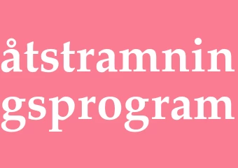 Synonym åtstramningsprogram