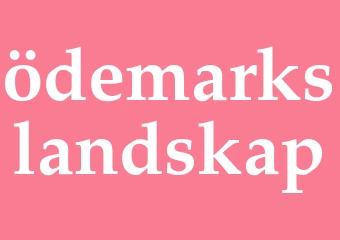 Synonym ödemarkslandskap