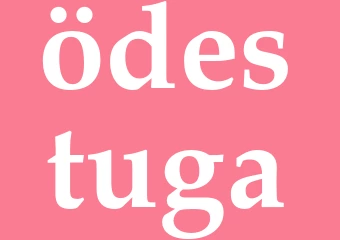 Synonym ödestuga