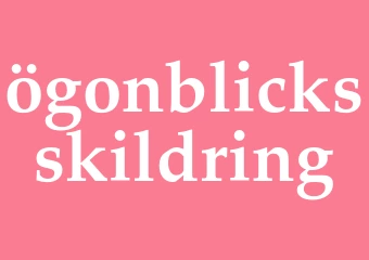Synonym ögonblicksskildring