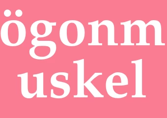 Synonym ögonmuskel