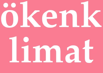 Synonym ökenklimat