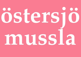 Synonym östersjömussla