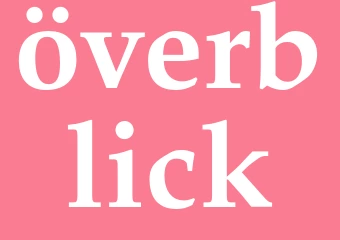 Synonym överblick