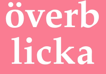 Synonym överblicka